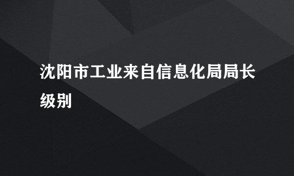 沈阳市工业来自信息化局局长级别