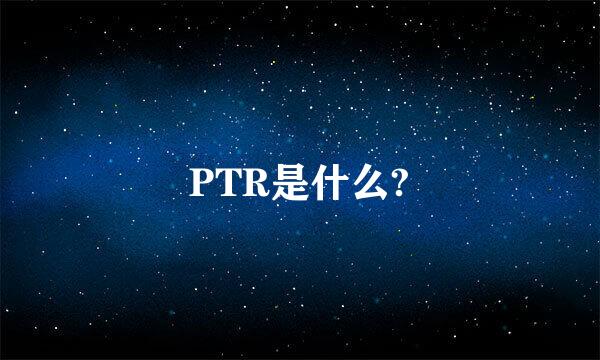 PTR是什么?