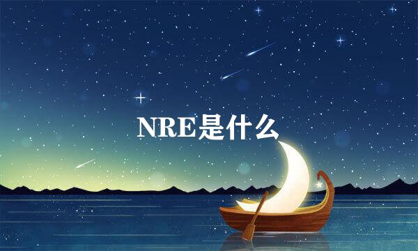 NRE是什么