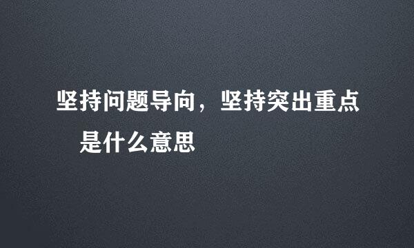 坚持问题导向，坚持突出重点 是什么意思