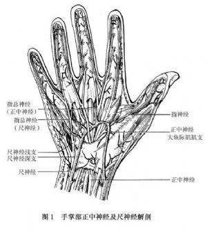 尺神经损伤的伟季什字香扬需效离临床表现