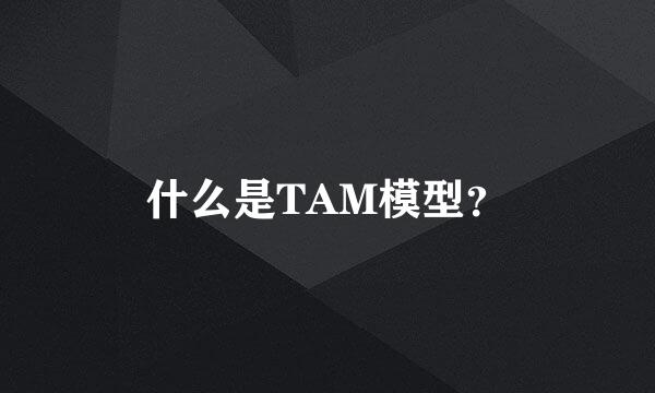 什么是TAM模型？