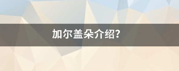 加尔来自盖朵介绍？