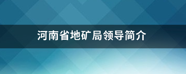 河南省地矿局领导简介