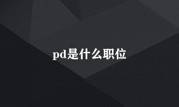 pd是什么职位