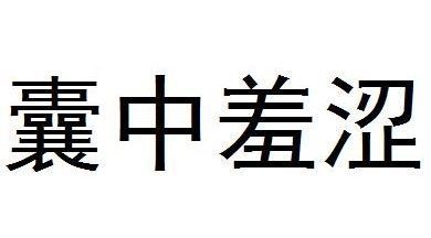 囊中羞涩是什么早演推意思?