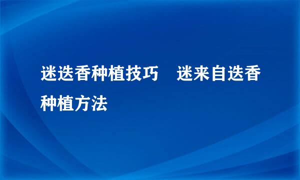 迷迭香种植技巧 迷来自迭香种植方法