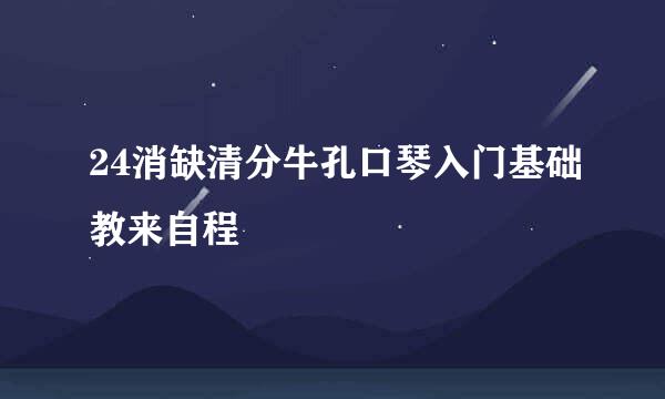 24消缺清分牛孔口琴入门基础教来自程