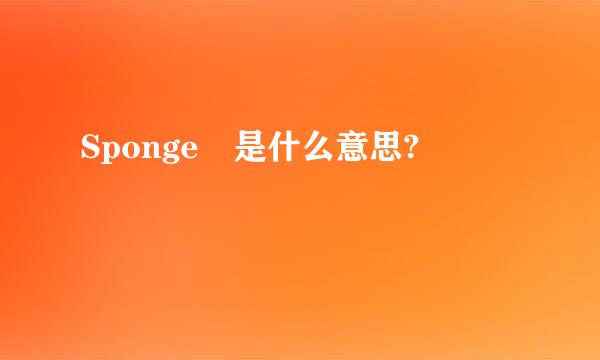 Sponge 是什么意思?