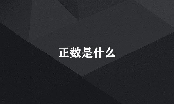 正数是什么