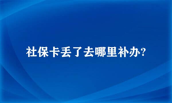 社保卡丢了去哪里补办?