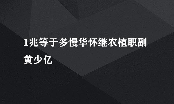 1兆等于多慢华怀继农植职副黄少亿