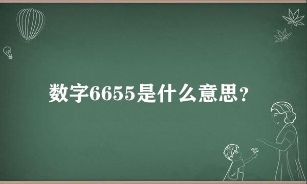 数字6655是什么意思？