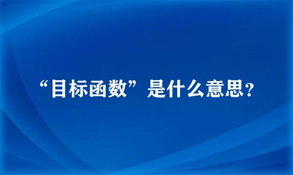 “目标函数”是什么意思？