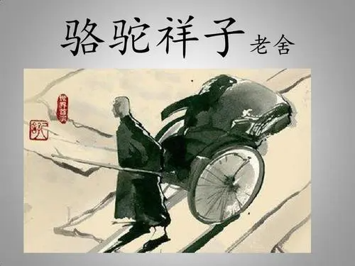 《骆驼祥子》意义是什么？