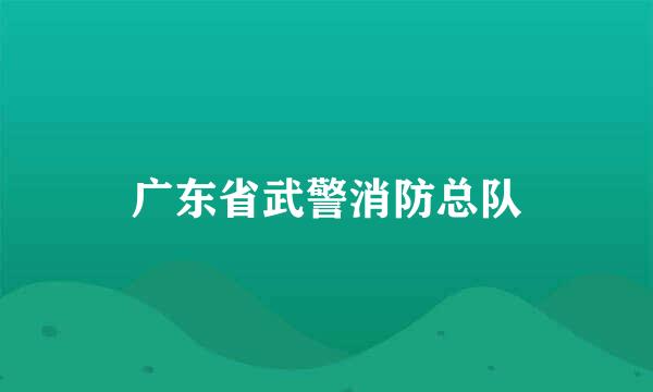 广东省武警消防总队