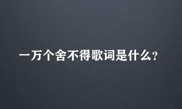 一万个舍不得歌词是什么？