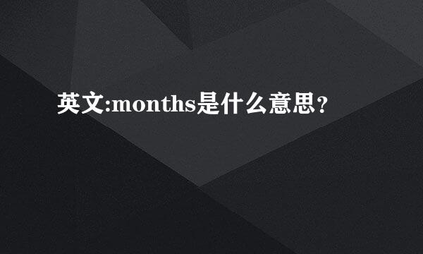 英文:months是什么意思？