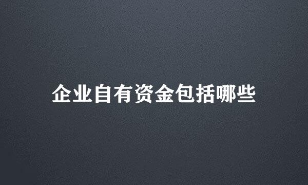 企业自有资金包括哪些