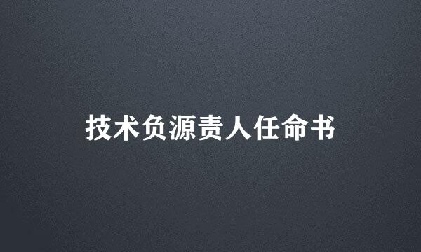 技术负源责人任命书