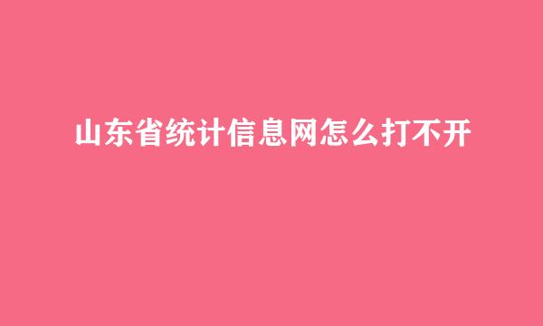 山东省统计信息网怎么打不开