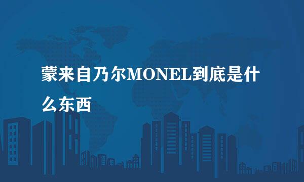 蒙来自乃尔MONEL到底是什么东西