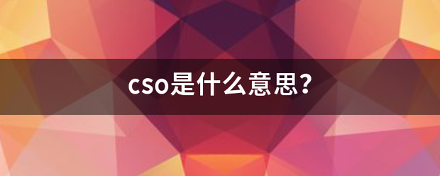 cso是什么意思？