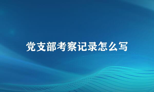 党支部考察记录怎么写