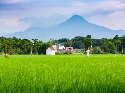 田间地头的意思