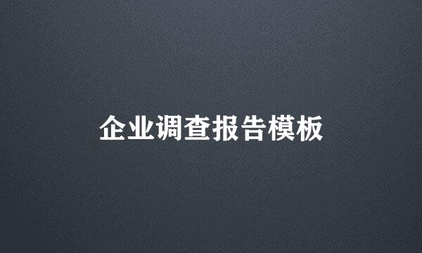 企业调查报告模板