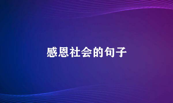 感恩社会的句子