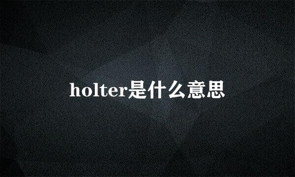 holter是什么意思