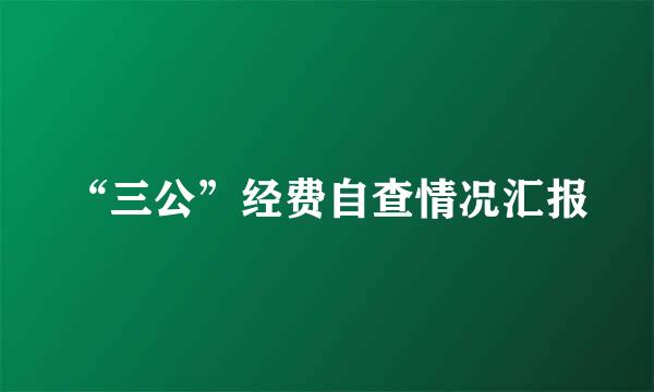 “三公”经费自查情况汇报