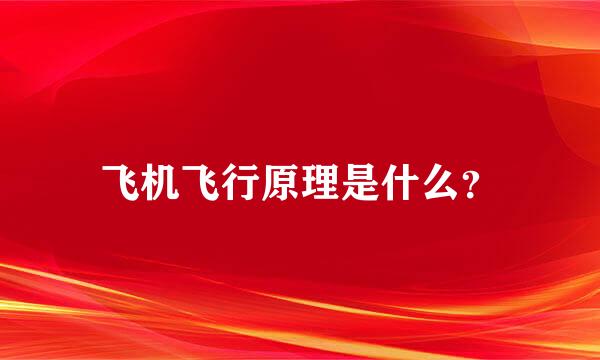 飞机飞行原理是什么？