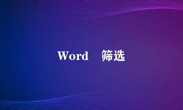 Word 筛选