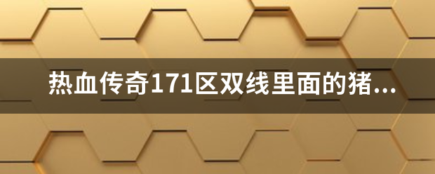 热血传奇171区双线里面的猪8怎么去