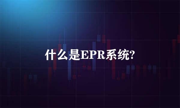 什么是EPR系统?