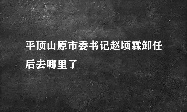 平顶山原市委书记赵顷霖卸任后去哪里了