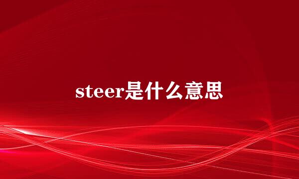 steer是什么意思