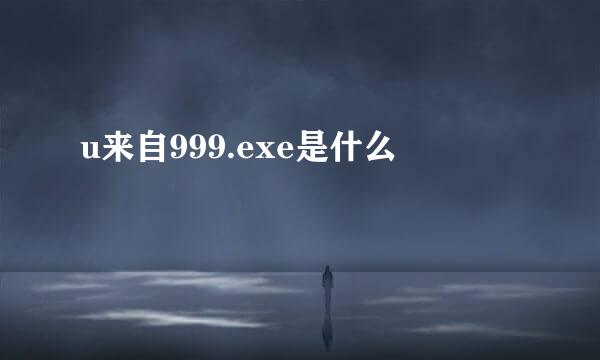 u来自999.exe是什么