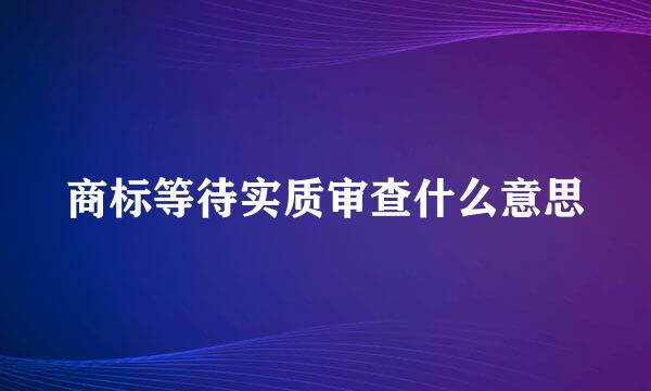 商标等待实质审查什么意思