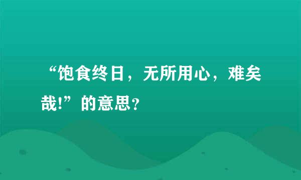 “饱食终日，无所用心，难矣哉!”的意思？