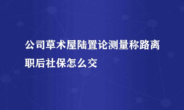 公司草术屋陆置论测量称路离职后社保怎么交