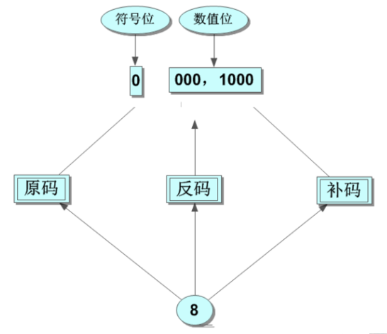 -128变见场龙岁即龙的八位原码、反码、补码是多少？