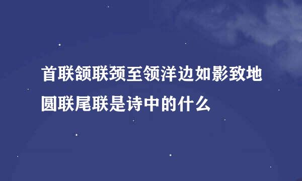 首联颔联颈至领洋边如影致地圆联尾联是诗中的什么