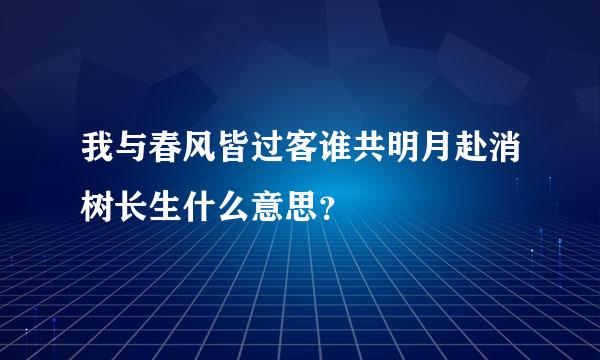 我与春风皆过客谁共明月赴消树长生什么意思？