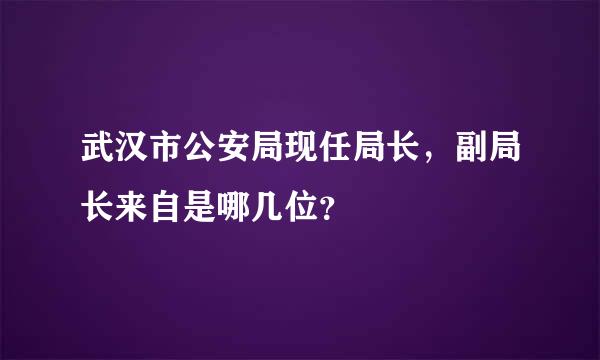 武汉市公安局现任局长，副局长来自是哪几位？