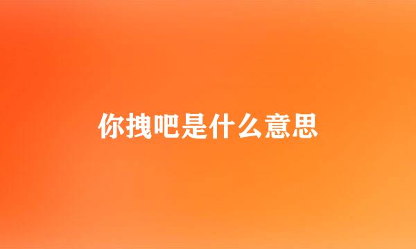 你拽吧是什么意思