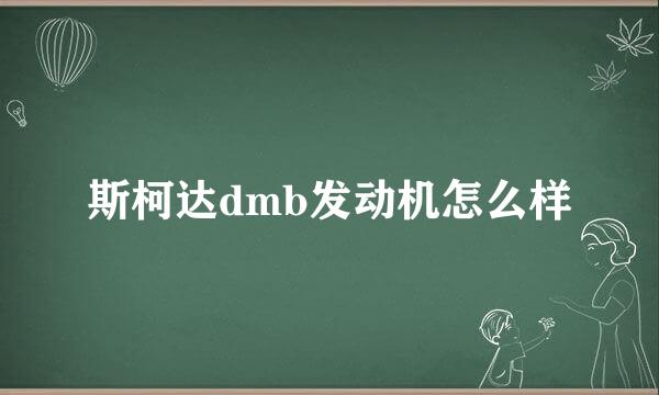 斯柯达dmb发动机怎么样