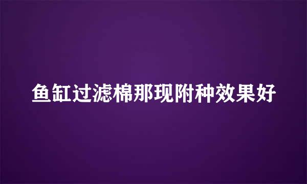 鱼缸过滤棉那现附种效果好